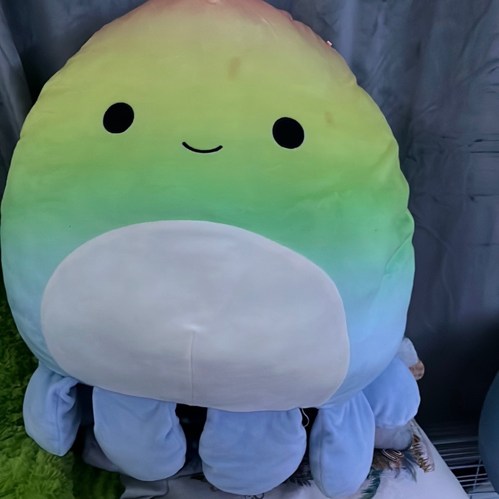Elodi the rainbow octopus